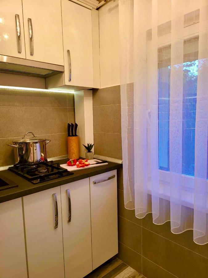 Studio Delux Giurgiu Bagian luar foto